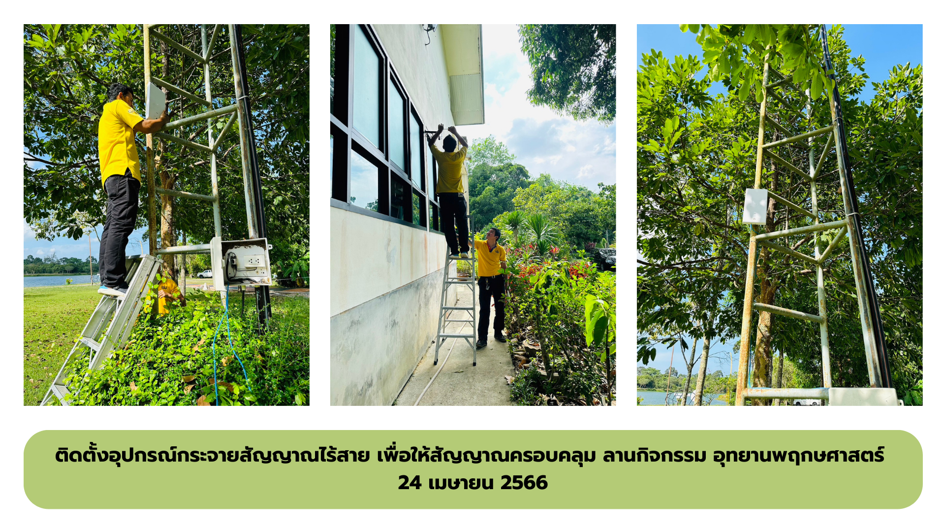 ติดตั้งอุปกรณ์กระจายสัญญาณไร้สาย ครอบคลุม ลานกิจกรรมอุทยานพฤกษศาสตร์