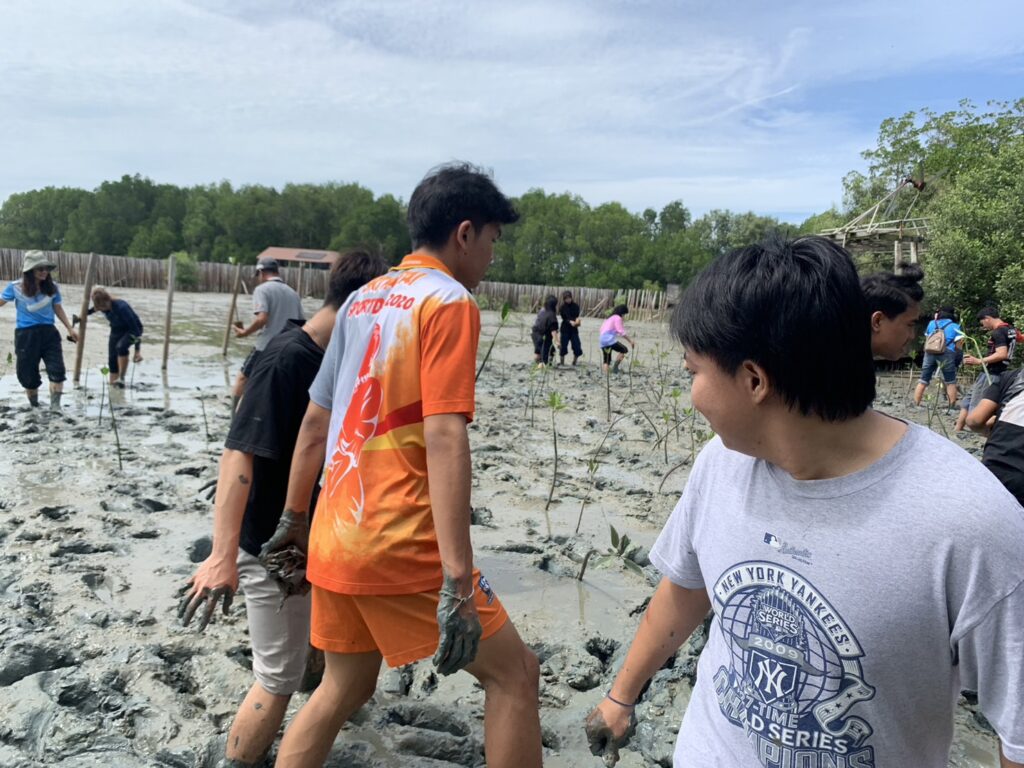 ปลูกป่าชายเลน