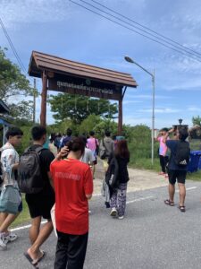 ปลูกป่าชายเลน